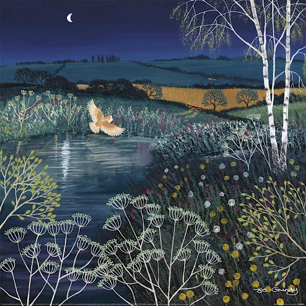 Jo Grundy Over Moonlit Pool Poster En Storlek Flerfärgad Multicoloured One Size