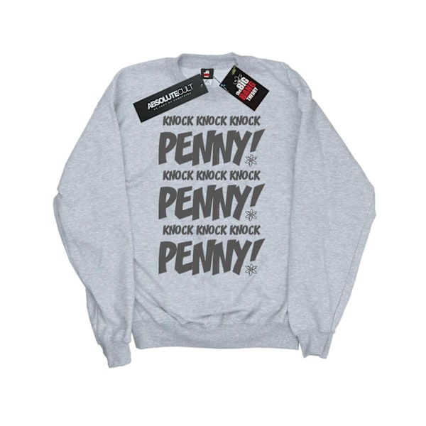 The Big Bang Theory Boys Sheldon Knock Knock Penny Sweatshirt 7 Sports Grey 7-8 Years