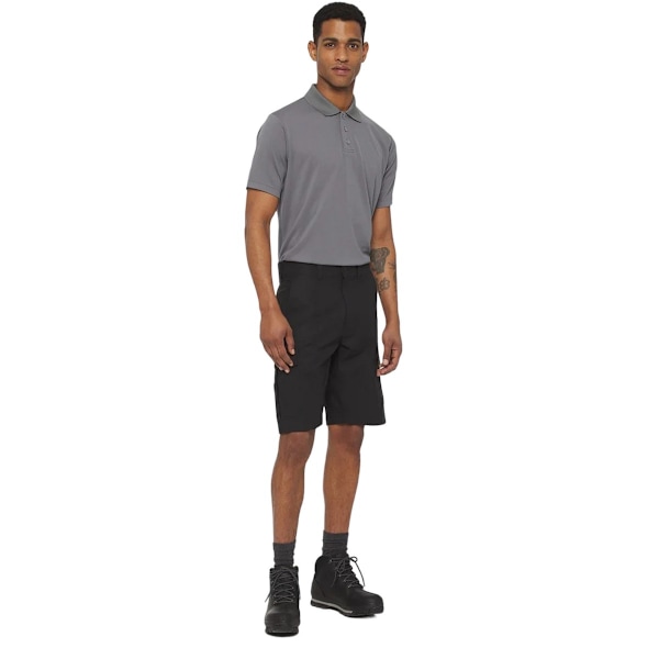 Dickies Herr Everyday Polotröja M Grå Grey M