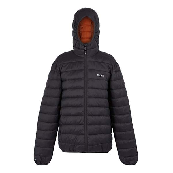 Regatta Marizion Vadderad Jacka med Huva för Män XL Ash/Red O Ash/Red Ochre XL