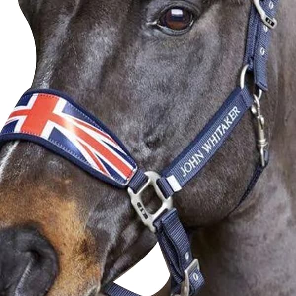 Whitaker Union Jack Vadderat Hästhalster Ponny Marinblå Navy Pony