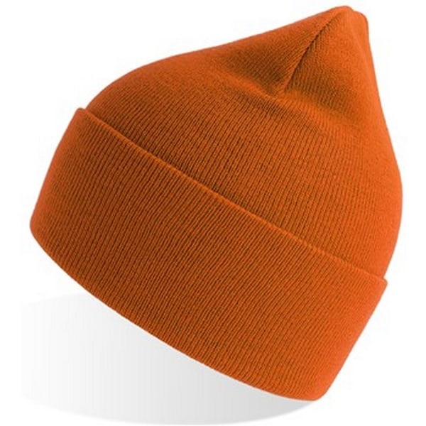 Atlantis Unisex Vuxen Ren Beanie i Återvunnet Material En Storlek Orange Orange One Size