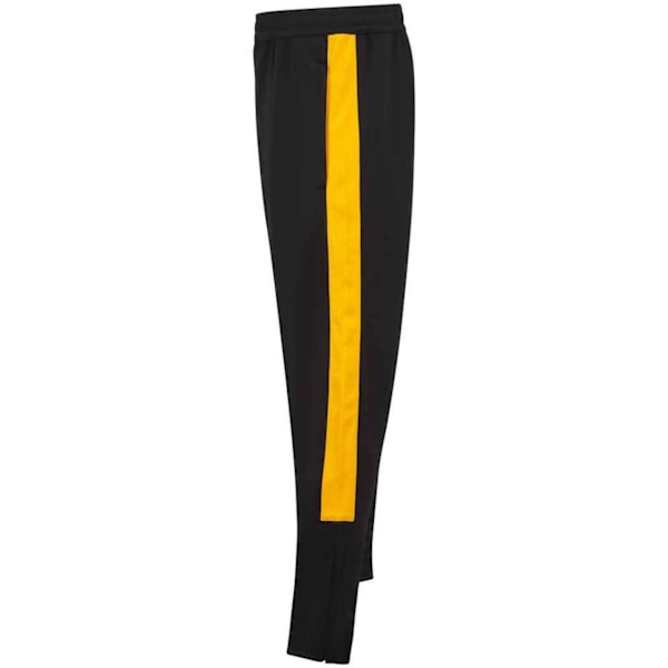 Finden & Hales Barn/Barn Tracksuitbyxor 3-4 År Svart Black/Gold 3-4 Years
