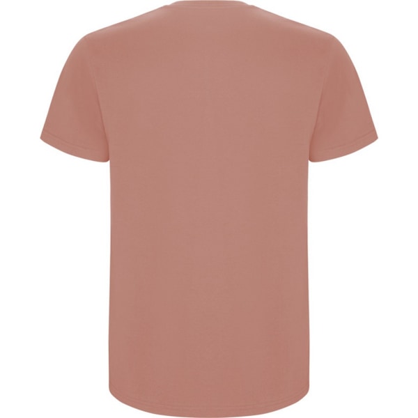 Roly Barn/Barn Stafford Kortärmad T-shirt 11-12 år Clay Orange 11-12 Years