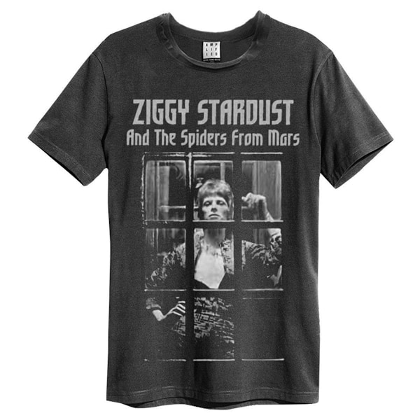 Amplified Unisex Vuxen The Rise and Fall David Bowie T-Shirt M Charcoal M
