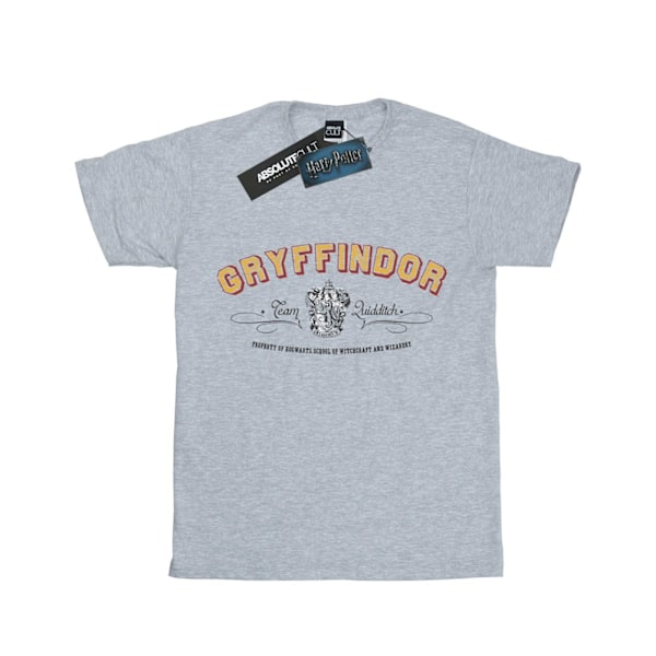 Harry Potter Pojkar Gryffindor Team Quidditch T-Shirt 7-8 År S Sports Grey 7-8 Years
