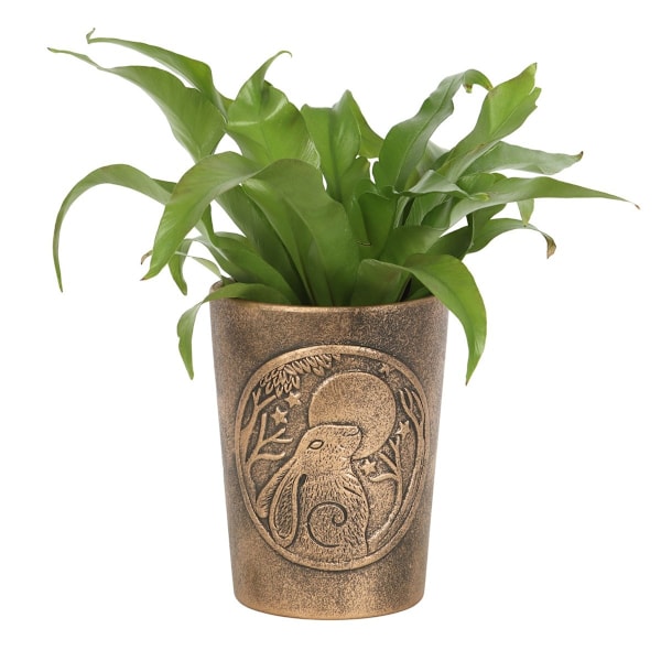 Lisa Parker Månskådande Hare Terrakotta Blomkruka En Storlek Bro Bronze One Size