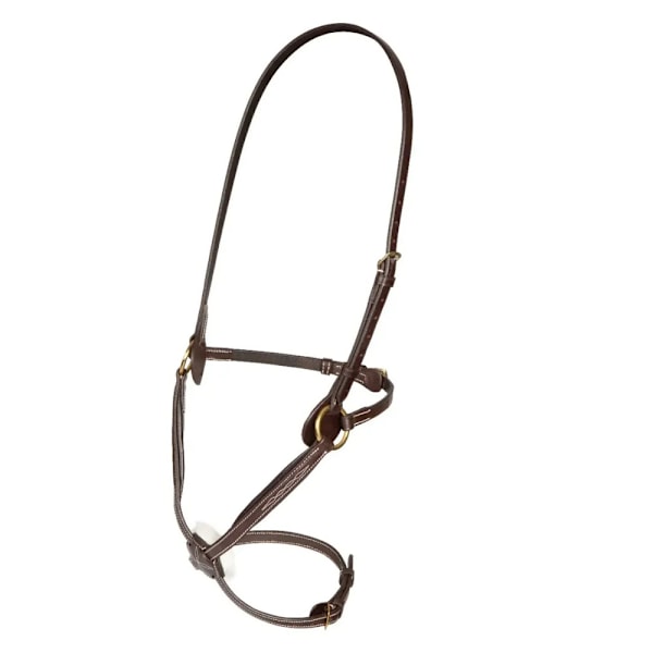 Salisbury Brackley Läder Hästnosband Cob Australian Nut Australian Nut Cob