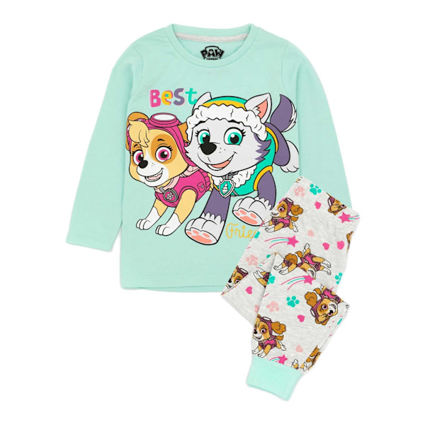 Paw Patrol Barn/Barn Skye & Everest Långärmad Pyjamas Se Teal/Grey 6-7 Years