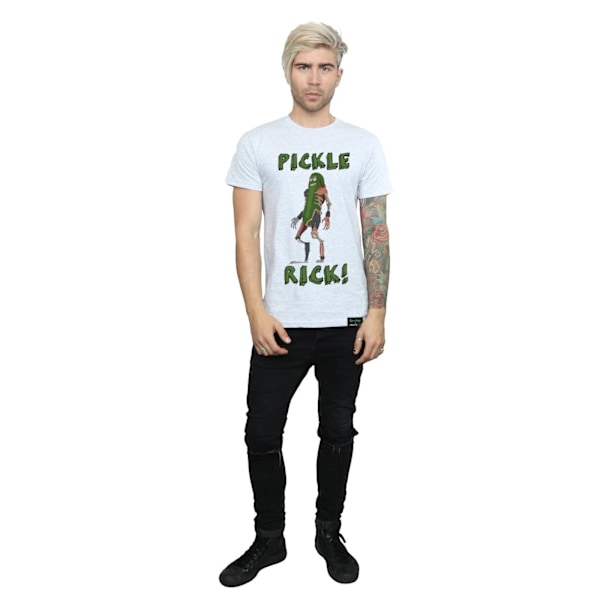 Rick And Morty Herr Pickle Rick T-shirt M Sports Grey Sports Grey M