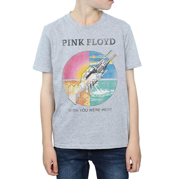 Pink Floyd Pojkar Wish You Were Here T-Shirt 9-11 År Sport Grå Sports Grey 9-11 Years