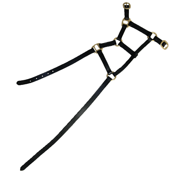 Hy Läderfölhuvudlag X Large Svart Black X Large