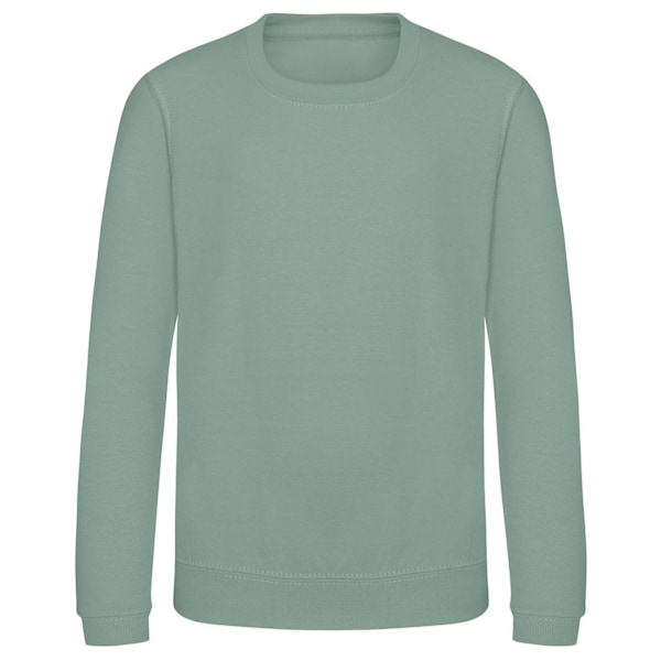 AWDis Just Hoods Barn/Barn Plain Crew Neck Sweatshirt 12-1 Dusty Green 12-13 Years