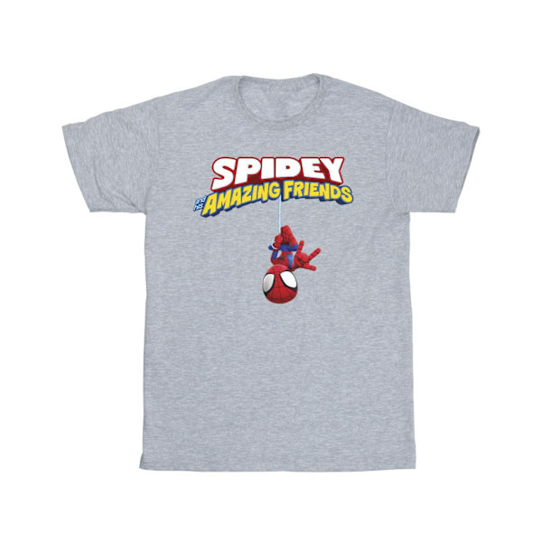 Marvel Herr Spider-Man Hänger Upp och Ner T-shirt 5XL Sports G Sports Grey 5XL