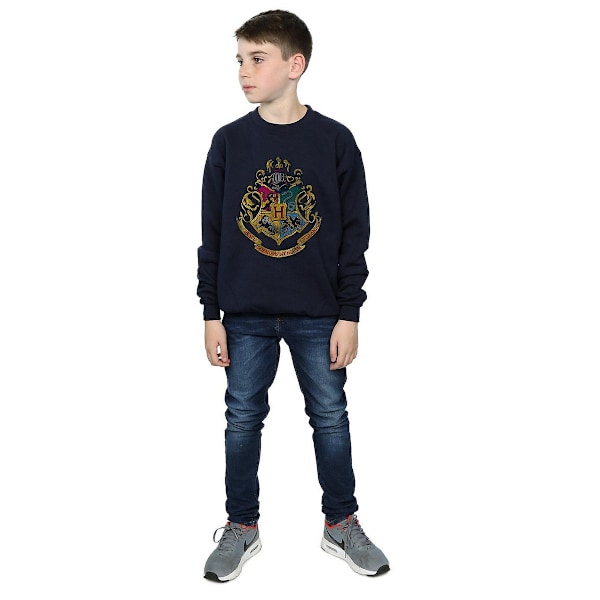 Harry Potter Pojkar Hogwarts Hus Bomullströja 7-8 År N Navy Blue 7-8 Years