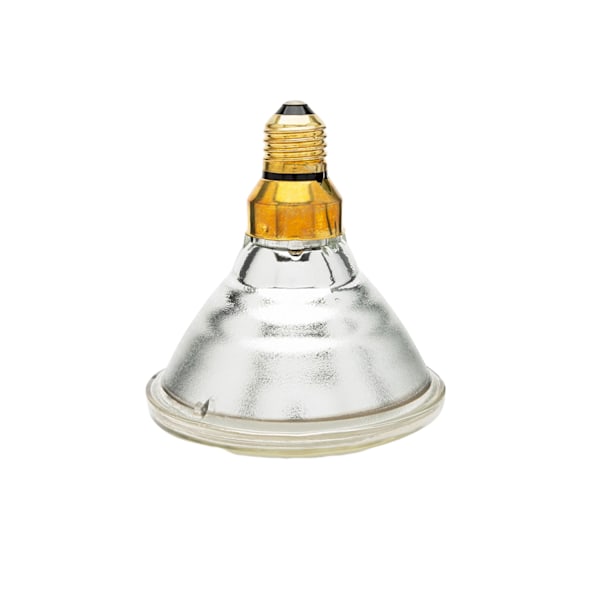 Curalux PAR 38 Glödlampa En Storlek Klar Clear One Size