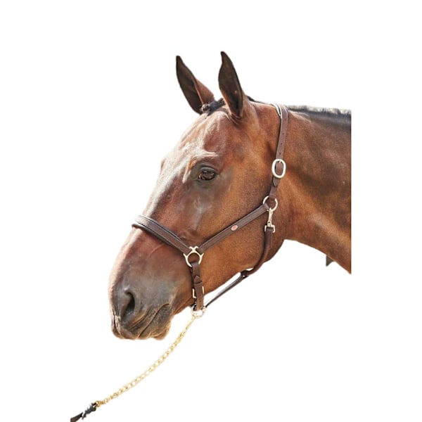 John Whitaker Ready To Ride Läder Hästgrimma Cob Brun Brown Cob