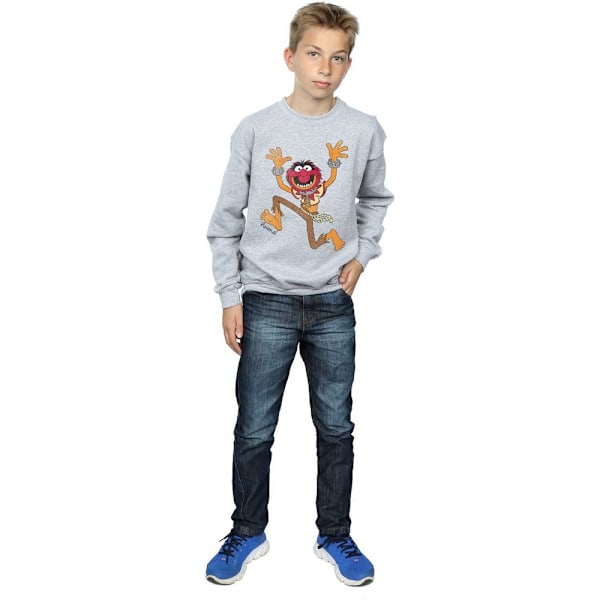 The Muppets Boys Classic Animal Sweatshirt 9-11 år Sports Grå Sports Grey 9-11 Years