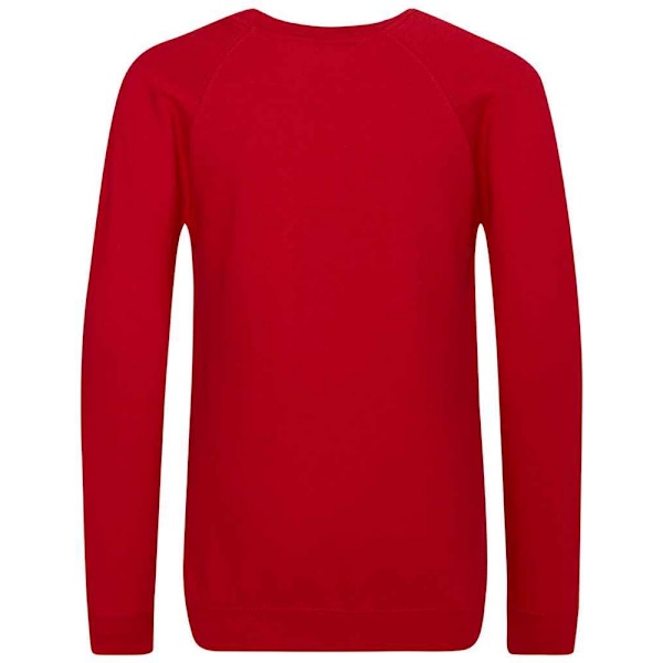 Awdis Barn/Barn Akademi Raglan Sweatshirt 11-12 År Röd Red 11-12 Years