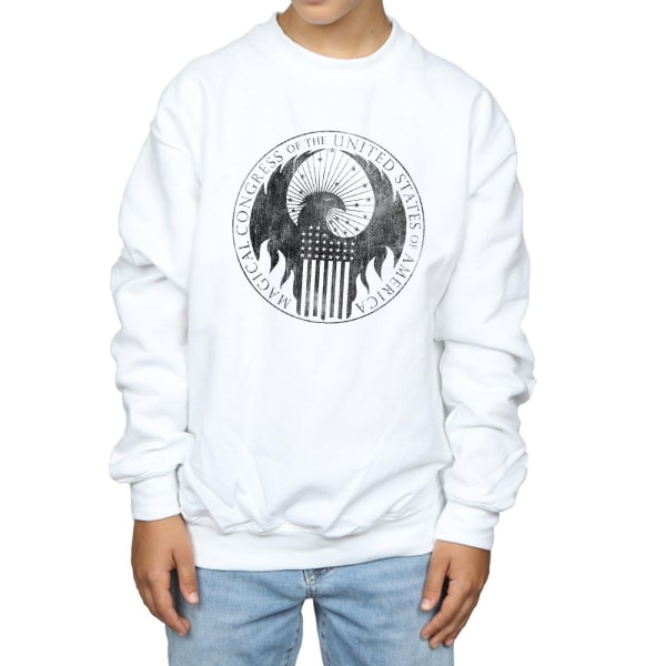 Fantastic Beasts Boys Distressed Magical Congress Sweatshirt 5- White 5-6 Years