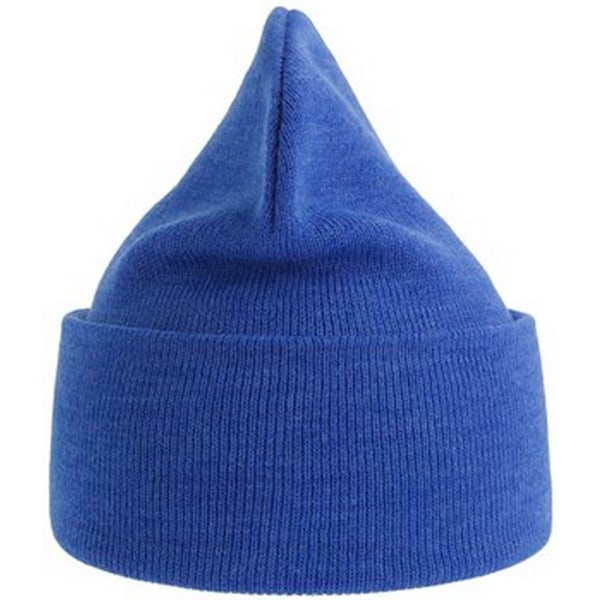 Atlantis Unisex Vuxen Ren Beanie i Återvunnet Material One Size Royal Blue Royal Blue One Size