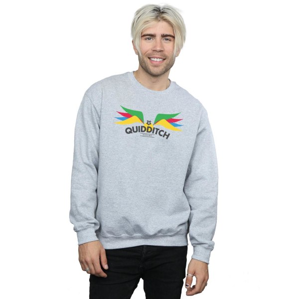 Harry Potter Herr Snitch Wings Pastell Sweatshirt XL Sports Grå Sports Grey XL