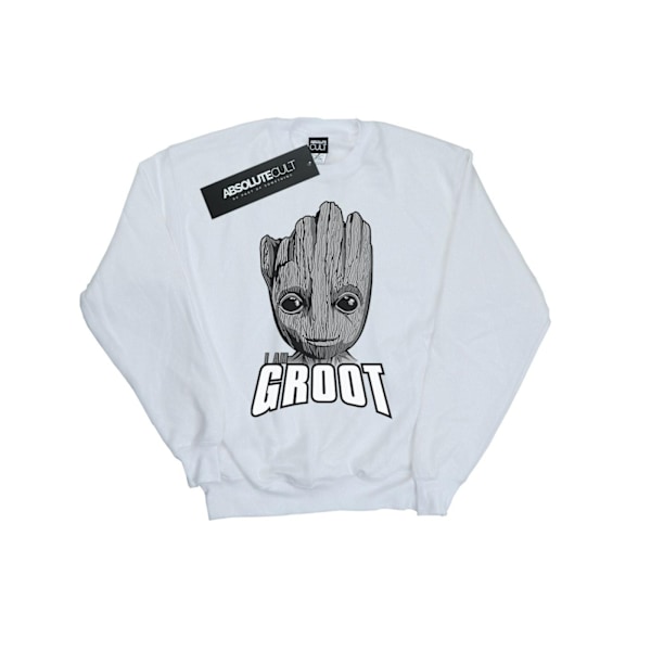 Marvel Herr Guardians Of The Galaxy Groot Ansikte Sweatshirt M Vit White M