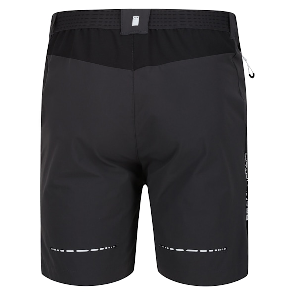 Regatta Herr Mountain II Shorts 30R Askgrå/Svart Ash/Black 30R