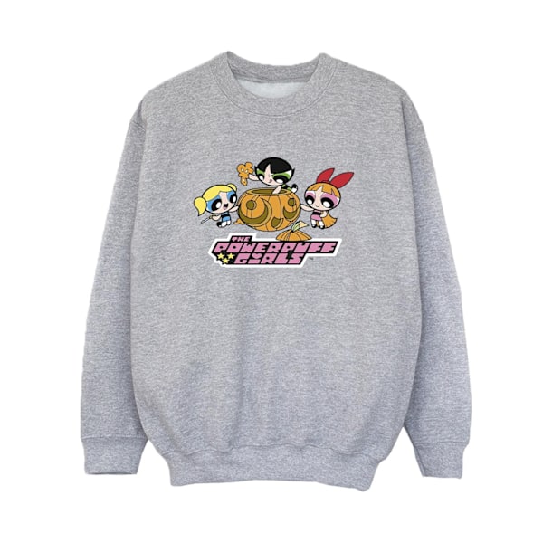 Powerpuff Girls Pojkar Flickor Pumpa Sweatshirt 7-8 År Spo Sports Grey 7-8 Years