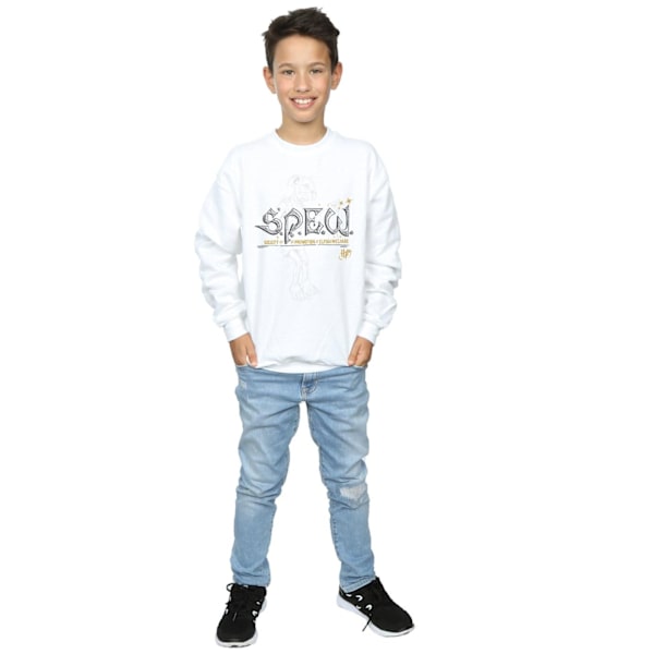Harry Potter Boys Dobby Elfish Welfare Sweatshirt 7-8 år Vit White 7-8 Years