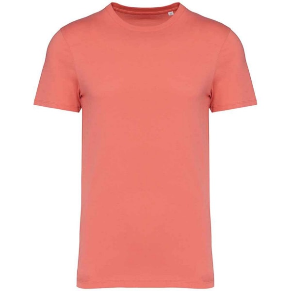 Native Spirit Unisex Vuxen Heavyweight Slim T-Shirt 3XL Ljus Korall Light Coral 3XL