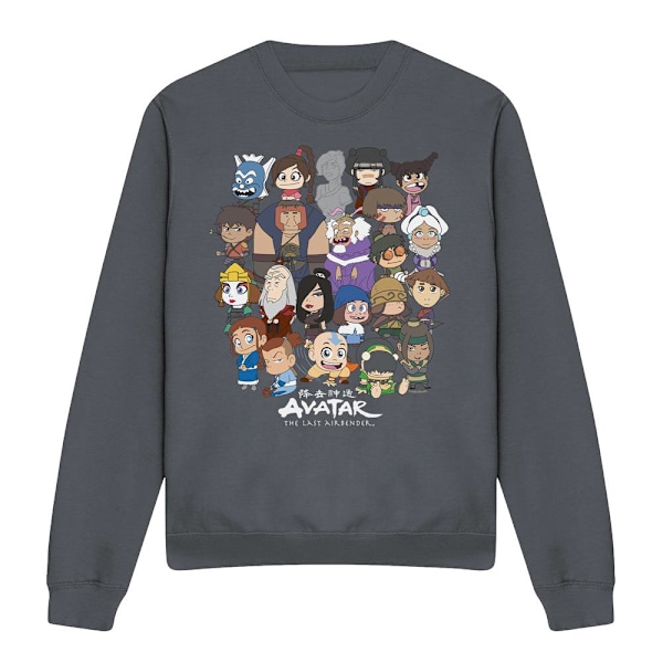Avatar: The Last Airbender Unisex Vuxen Chibi Grupp Sweatshirt Charcoal XXL