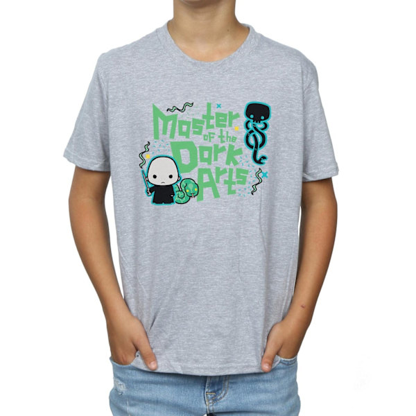 Harry Potter Boys Voldemort Dark Arts Junior T-shirt 5-6 år Sports Grey 5-6 Years