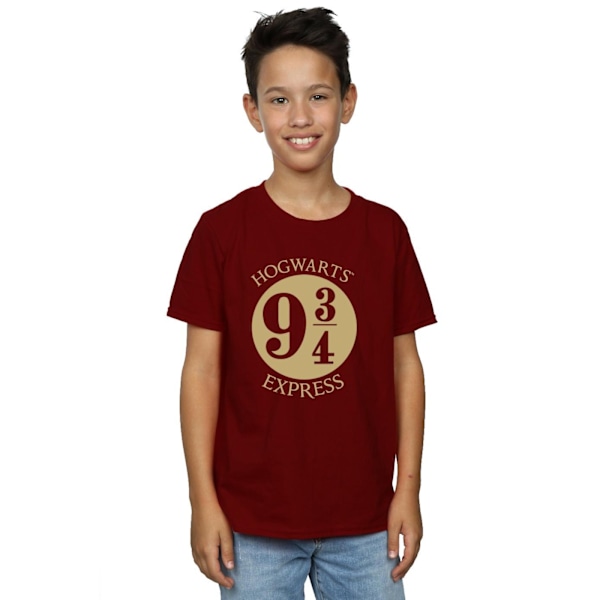 Harry Potter Boys Platrform Nine And Three-Quarters T-Shirt 3-4 Maroon 3-4 Years