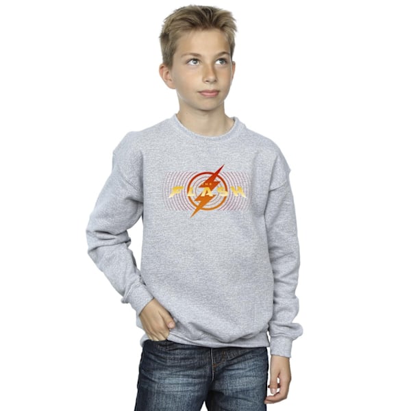 DC Comics Boys The Flash Red Lightning Sweatshirt 3-4 år Spo Sports Grey 3-4 Years