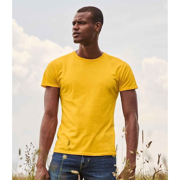 Fruit Of The Loom Mens Iconic T-Shirt L Solrosgul Sunflower Yellow L