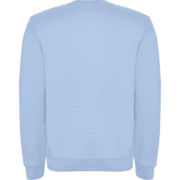 Roly Barn/Barn Clasica Crew Neck Sweatshirt 11-12 År Sky Sky Blue 11-12 Years