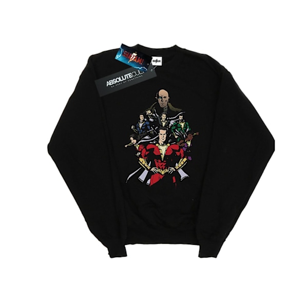 DC Comics Herr Shazam Team Up Sweatshirt XXL Svart Black XXL