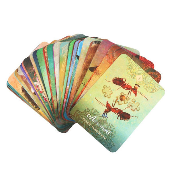 Colette Baron-Reid The Spirit Animal Pocket Oracle Cards One Si Multicoloured One Size