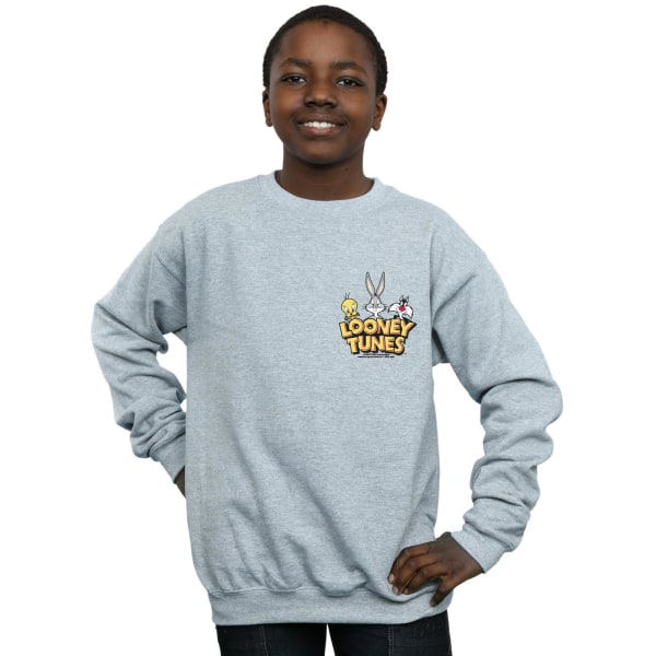Looney Tunes Boys Group Faux Pocket Sweatshirt 3-4 år Sport Sports Grey 3-4 Years