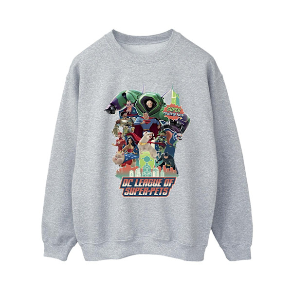 DC Comics Dam/Dam DC Comics DC League Of Super-Pets Super Sports Grey L