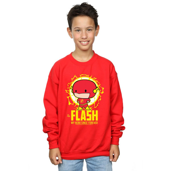 DC Comics Boys Flash My Hero Since Forever Sweatshirt 7-8 år Red 7-8 Years