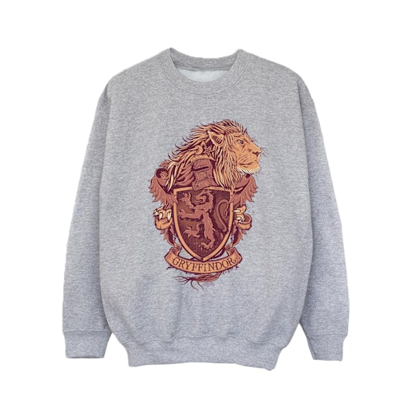 Harry Potter Tjejer Gryffindor Sketch Crest Sweatshirt 7-8 År Sports Grey 7-8 Years
