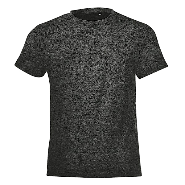 SOLS Barn/Barn Regent Kortärmad T-shirt 2 år Charcoal Marl 2 Years