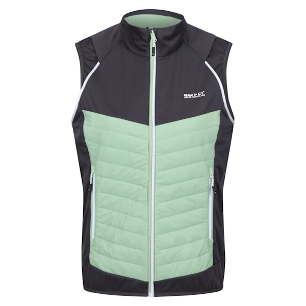 Regatta Dam/Kvinnor Steren Hybrid Jacka 10 UK Seal Grey/Quie Seal Grey/Quiet Green 10 UK