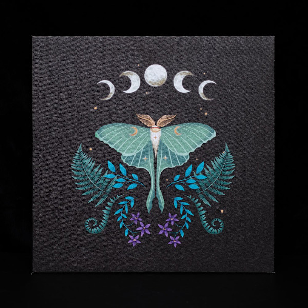 Something Different Canvas Luna Moth Ljus Upp Canvas En Storlek B Black/Blue/White One Size