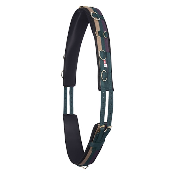 Imperial Riding IRHDeluxe Nylon Häst Lungeringsgjord Cob Multico Multicoloured/Forest Green Cob