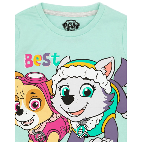 Paw Patrol Barn/Barn Skye & Everest Långärmad Pyjamas Se Teal/Grey 6-7 Years