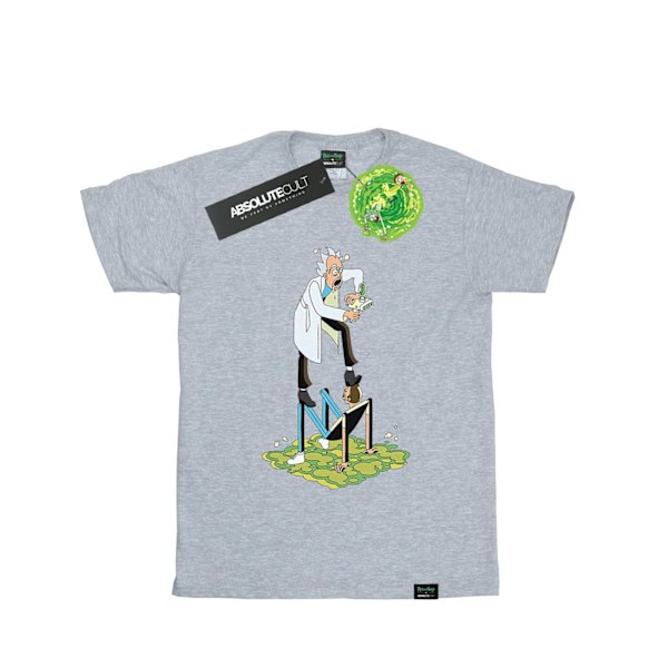 Rick And Morty Dam/Damer Stiliserade Karaktärer Bomull Pojkvän Sports Grey L