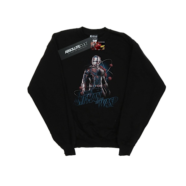 Marvel Girls Ant-Man And The Wasp Lab Pose Sweatshirt 5-6 år Black 5-6 Years